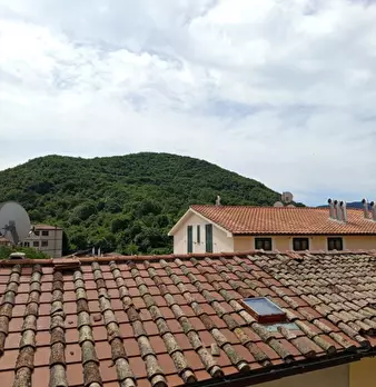 Foto annuncio 18