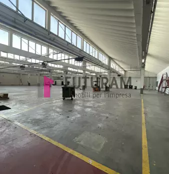 Foto annuncio 7