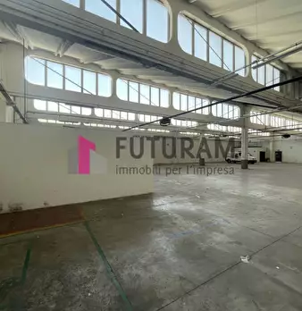 Foto annuncio 8