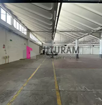 Foto annuncio 11