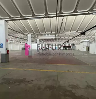 Foto annuncio 14