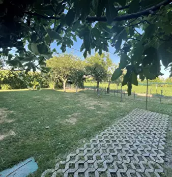 Foto annuncio 25