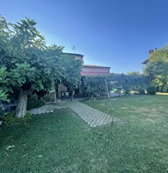 Foto annuncio 26
