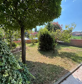 Foto annuncio 14