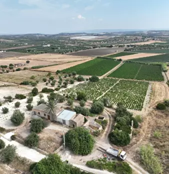 Foto annuncio 6