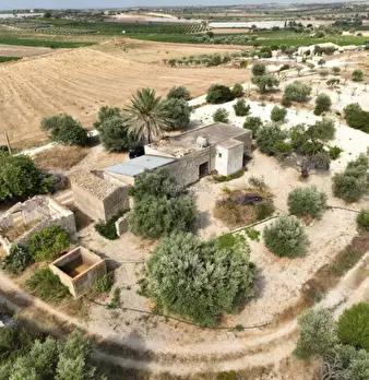 Foto annuncio 8