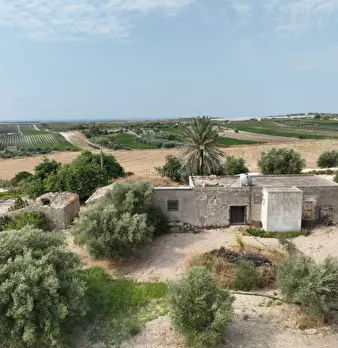Foto annuncio 10