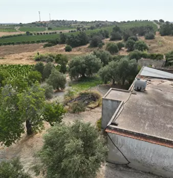 Foto annuncio 11