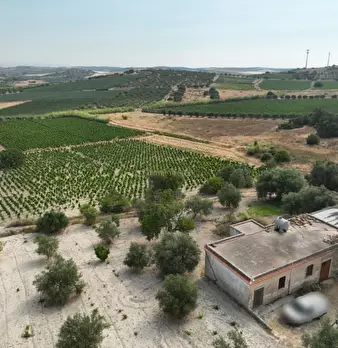 Foto annuncio 13