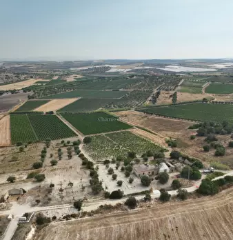 Foto annuncio 16