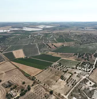 Foto annuncio 17