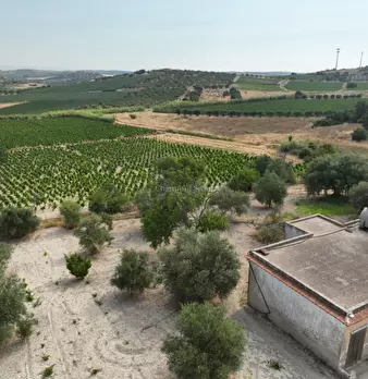 Foto annuncio 18