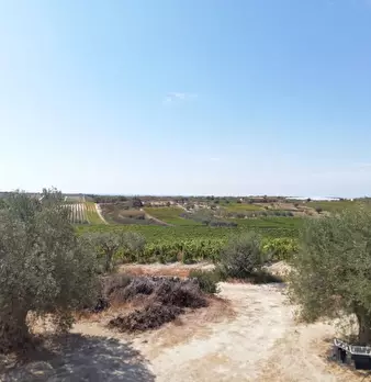 Foto annuncio 23