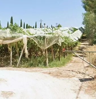 Foto annuncio 3