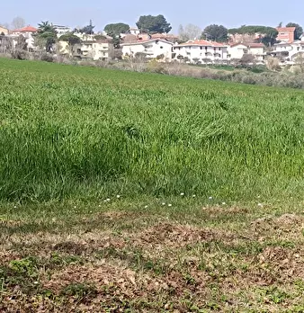 Foto annuncio 30