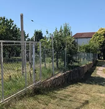 Foto annuncio 10