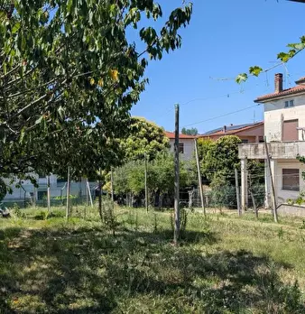 Foto annuncio 14