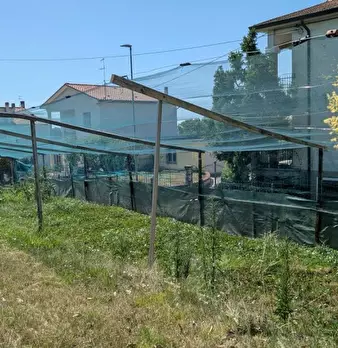 Foto annuncio 15