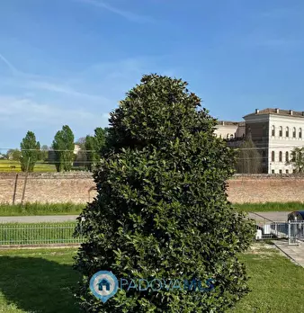 Foto annuncio 37