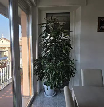 Foto annuncio 35