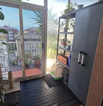 Foto annuncio 37