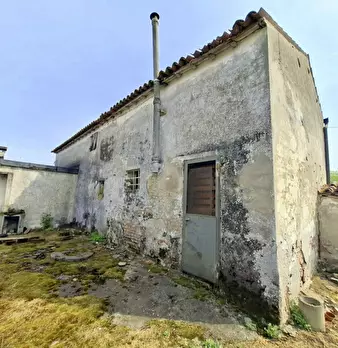Foto annuncio 3