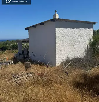 Foto annuncio 4