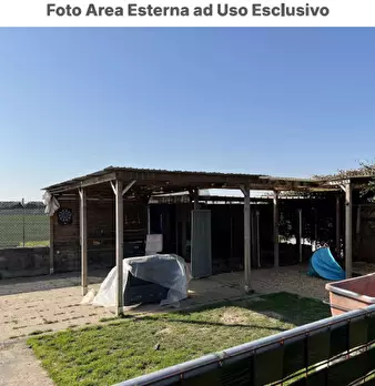 Foto annuncio 7