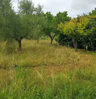Foto annuncio 29