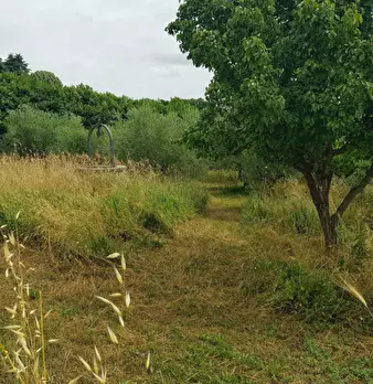 Foto annuncio 30