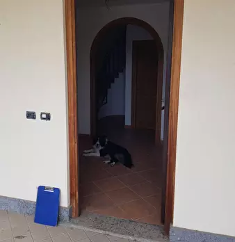 Foto annuncio 7