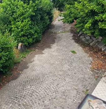 Foto annuncio 22