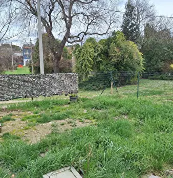 Foto annuncio 2