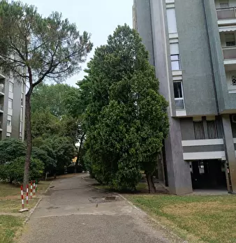 Foto annuncio 18