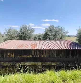 Foto annuncio 2