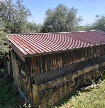 Foto annuncio 3