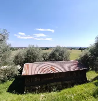 Foto annuncio 4