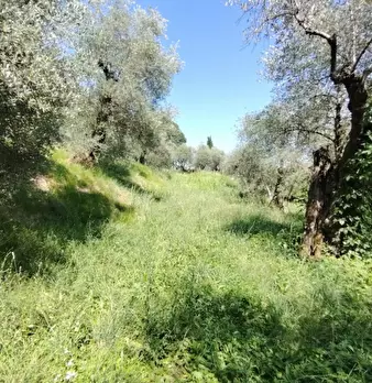 Foto annuncio 5