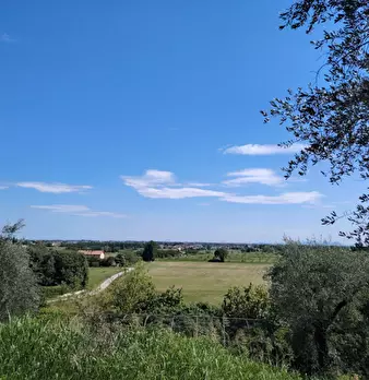 Foto annuncio 6