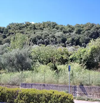Foto annuncio 10