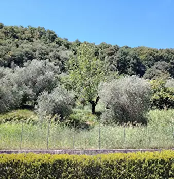 Foto annuncio 11
