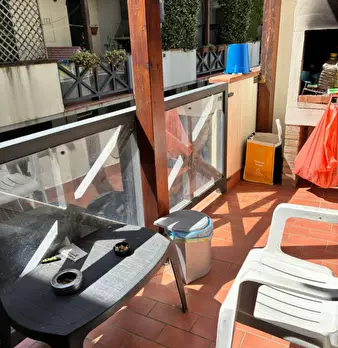 Foto annuncio 7