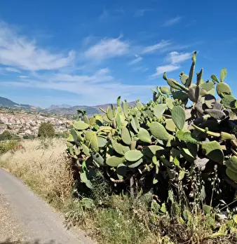 Foto annuncio 1