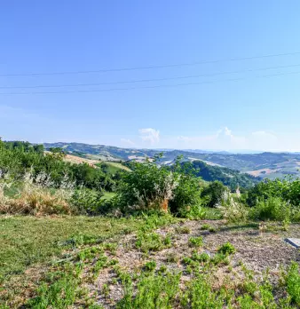 Foto annuncio 20