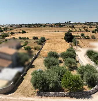 Foto annuncio 7