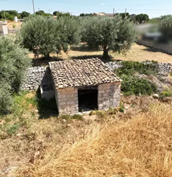 Foto annuncio 9