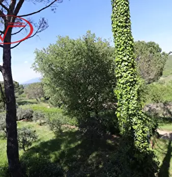 Foto annuncio 20
