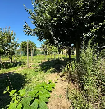 Foto annuncio 8