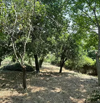 Foto annuncio 16