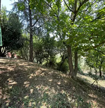 Foto annuncio 17